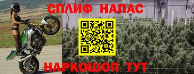 PSILOCYBIN Ангарск