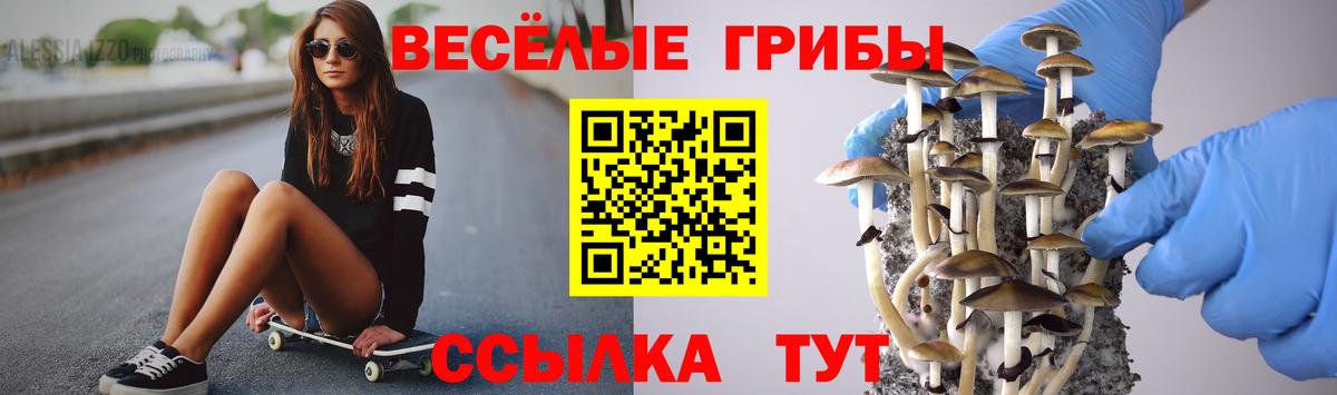 Псилоцибиновые грибы Cubensis  Вход с VPN  Тихвин 
